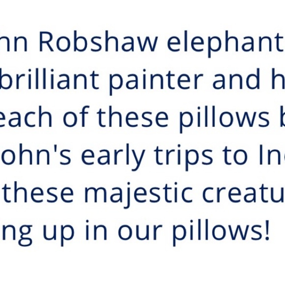 John Robshaw Decorative Elephant Pillow Cover 12 x 18” - Picture 4 of 9
